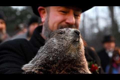 Punxsutawney Phil makes Groundhog Day 2023 prediction