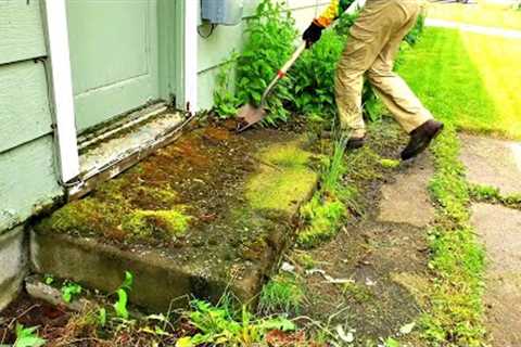 Nature Attempts To Takeover Property | Let''s Restore This Mess!