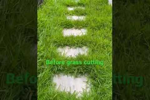 #lawn #service #edge #backyard #frontyard #gardening #frontgarden #cleaning #clean #garden #grass