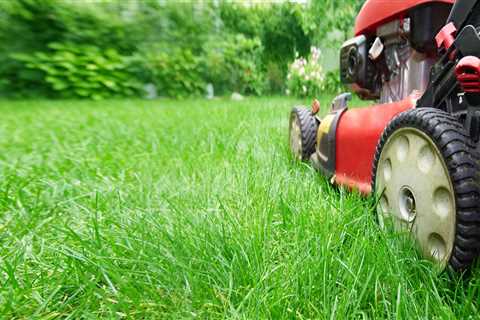 How to maintain grass