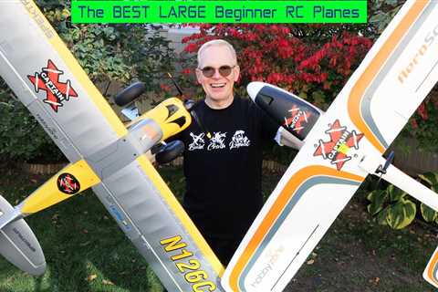 The Best LARGE Beginner RC Planes – Easy To Fly