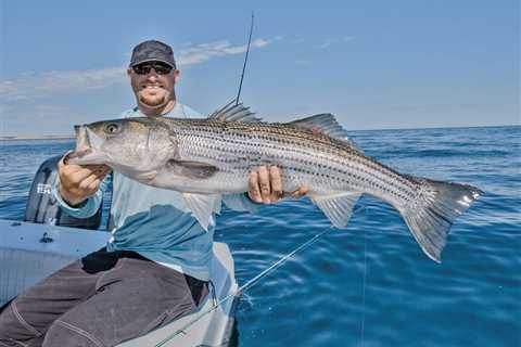 The Striper Migration: When Will the Bass Return?