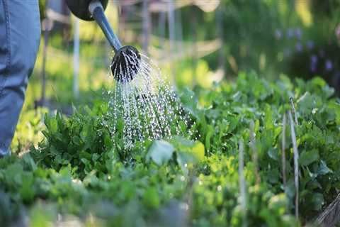 What are the basic method to gardening?