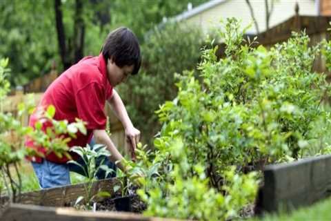 Getting Started with Home Gardening: A Beginner's Guide