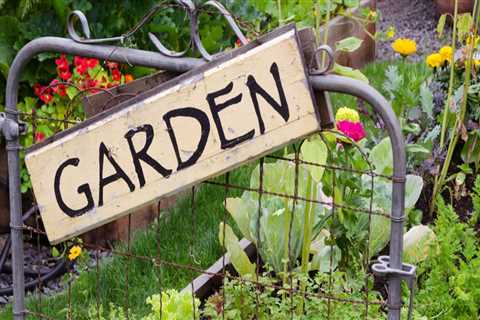 What is the scientific word for gardening?