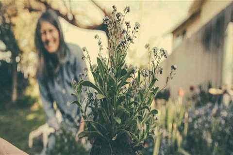 Why gardening makes us happy and healthy?