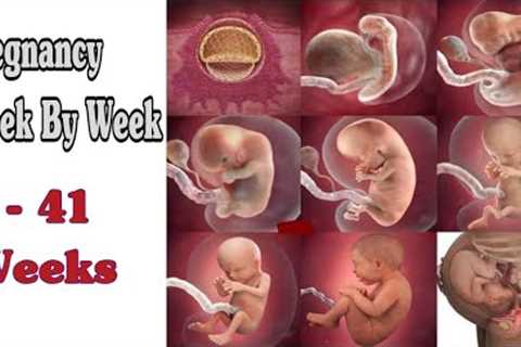 Pregnancy Week By Week || 1 - 41 Weeks Fetal Developments