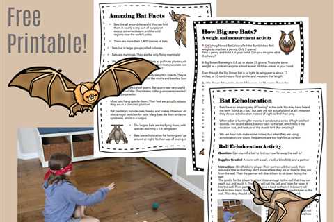 Cool Science Activities with BATS!