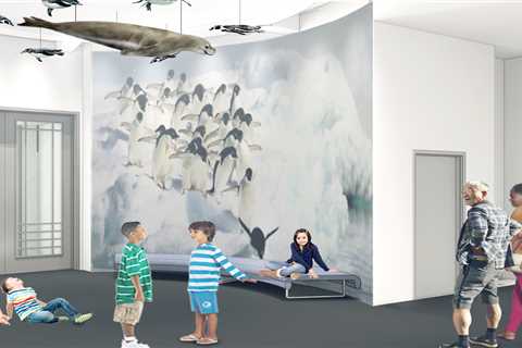 The New Bruce: Kid-Friendly Changes to Bruce Museum in Greenwich, CT