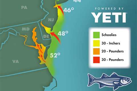 Striper Migration Map – March 31, 2023