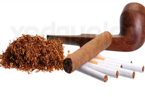 Types of Tobaccos Used in Pipes and Cigars