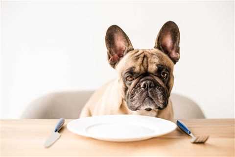 What Vegetables Can French Bulldogs Eat