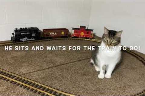 Cats Like Trains Too! My Cat Enjoys G Scale Model Railroading!