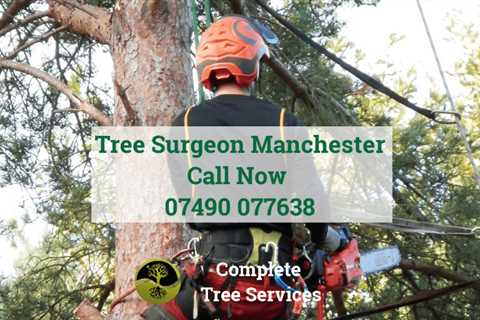 Tree Surgeon in Newton 24 Hr Emergency Tree Services Felling Dismantling & Removal