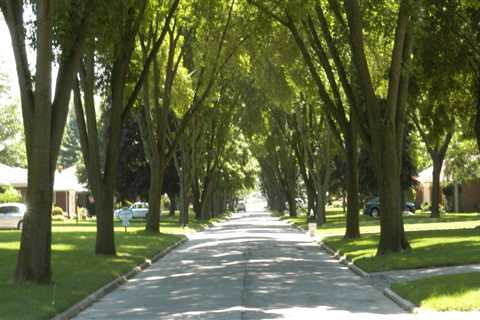 What are some of the benefits of urban trees?