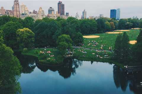 What is urban forestry and why is it important?