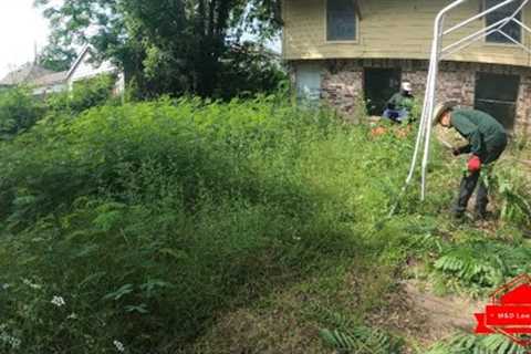 This Driveway Was BURIED Under YEARS Of Overgrown Grass (big transformation)