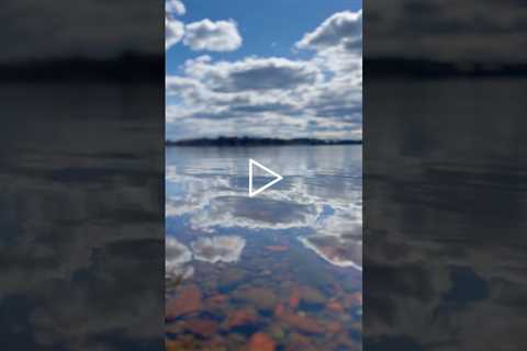 Reflection Of Clouds Pure Nature - The Great Outdoors #shorts #greatoutdoors #reflection