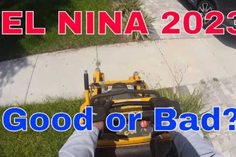 El NINA | Good or Bad? | WRIGHT 36 | SOLO LAWN GUY | BATTERY EQUIPMENT | HOW DO YOU HANDLE RAIN DAYS