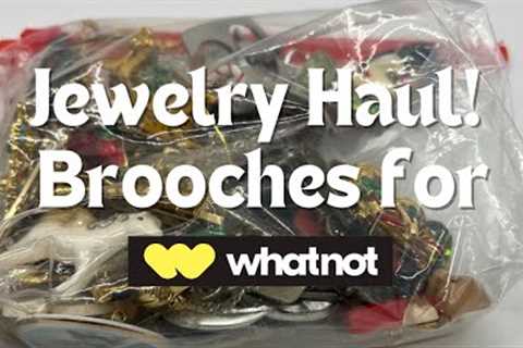 Costume Jewelry Brooch Haul for Resale