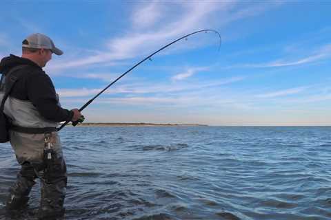 Breaking Down Bucktail Jigs and Trailers