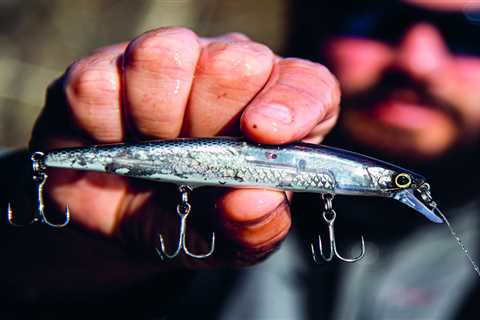 Featured Lure: Shimano World Minnow 115