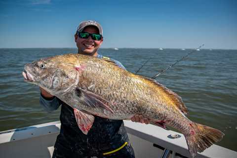 Black Drum Fishing in Delaware Bay