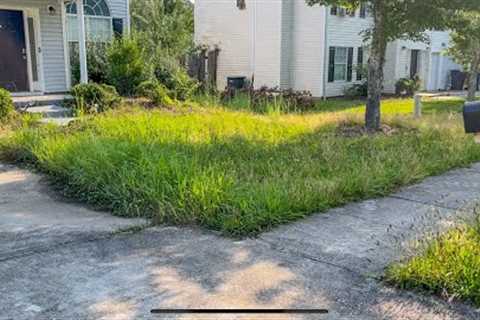 Home Owner Passed Away And No One Has Been By To Mow The Lawn Since.