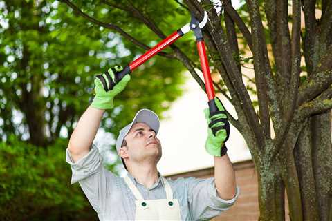 CWLP Trims Power Line Vegetation to Prevent Power Outages