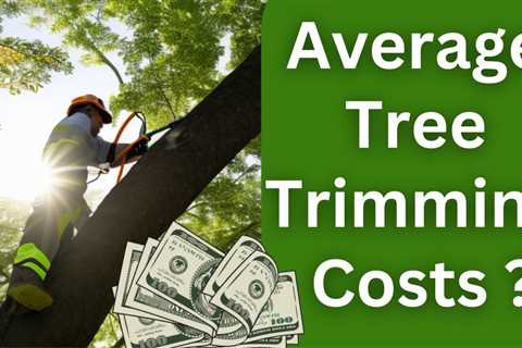 How Much Does a Tree Service Cost?