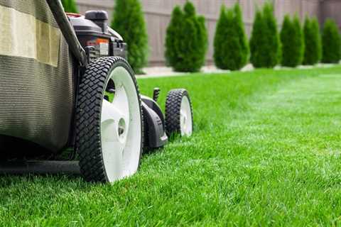 How to Make Grass Green: Understanding the Benefits of Organic Fertilizers