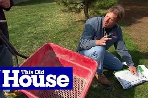 How to Revive a Brown Lawn | This Old House