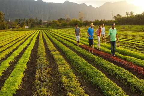 How Many Farms are Located on Oahu?