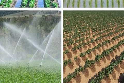 Irrigation Methods Used on Oahu Farmlands