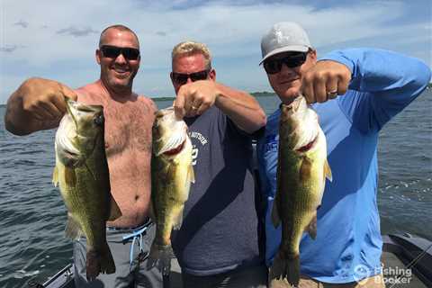 Bass Fishing in Minnesota: An Angler’s Guide