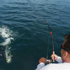 Light-Tackle Bluefin Tuna Fishing