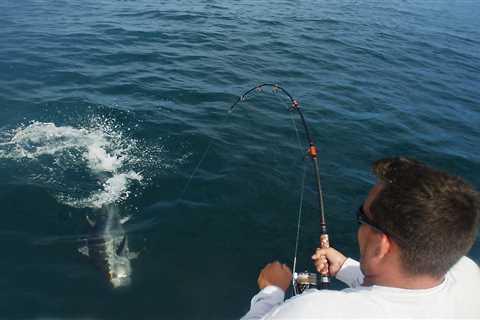 Light-Tackle Bluefin Tuna Fishing