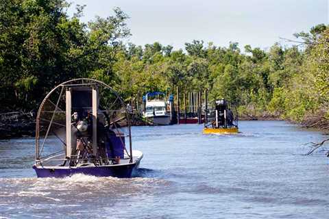 Everglades City Fishing: The Complete Guide