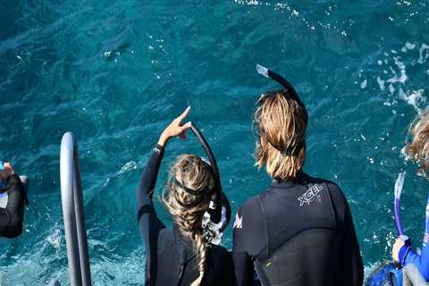 Make A Splash In Maui: The Perfect Boat Tour Experience With Convenient Snorkel Gear Rental