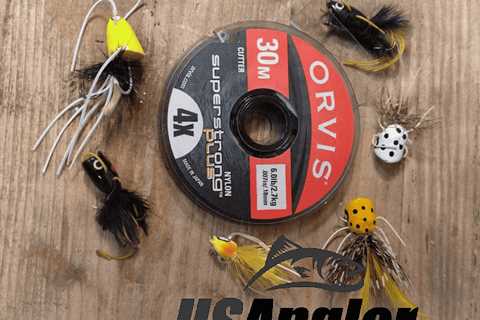 The Best Flies for Bass: Options Small- and Largemouth Can’t Resist!