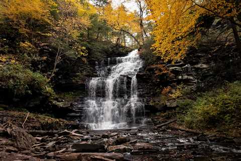 Hiking the Ricketts Glen Falls Loop: The Most Beautiful Waterfall Hike East of the Mississippi