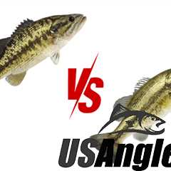 Spotted Bass vs Largemouth - The Differences Explained