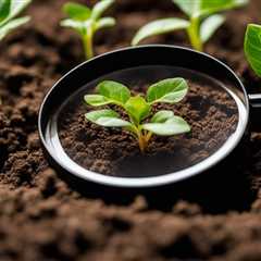 Unearth the Benefits: Organic Soil Testing and Its Importance for Plant Health