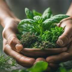 Guide to Organic Care for Aromatic and Medicinal Plants