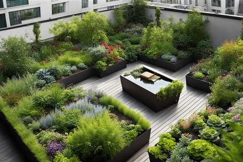 Organic Plant Care for Balcony and Rooftop Gardens Guide