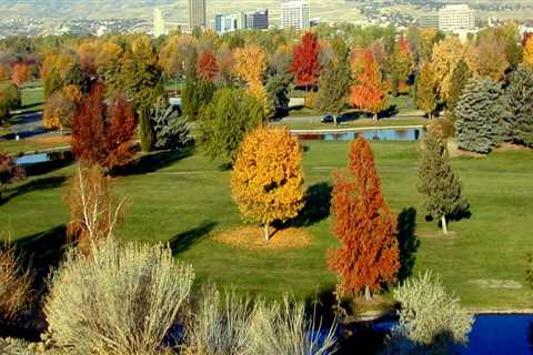 The Inspiring Natural Landscape of Bellevue, ID for Artists