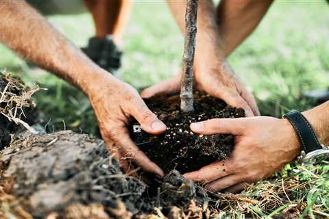 Optimal Timing for Planting Fruit Trees