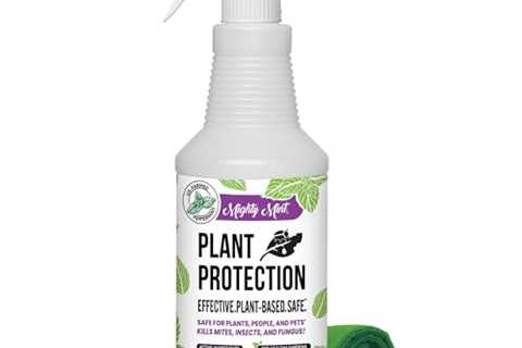 Peppermint Plant Protection Spray Kit - Mighty Mint