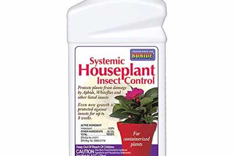 Insect Control for Indoor and Outdoor Plants, 8 oz