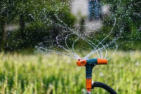 The Best Time of Day to Water Your Lawn